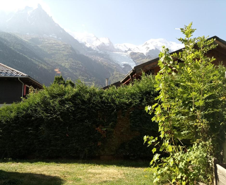 Studio Panorama MontBlanc - 1