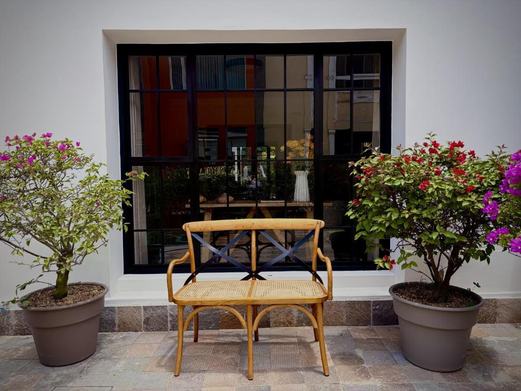 Beautiful Room in a Boutique House with Patio - 3