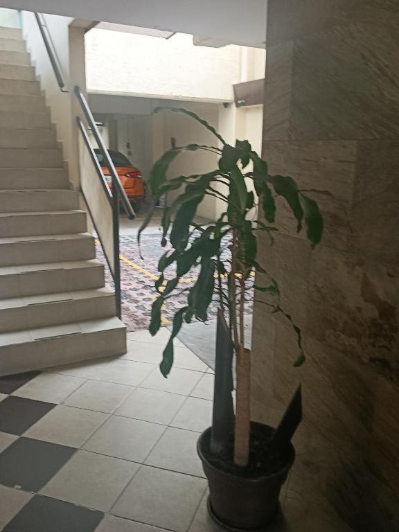 Entire serviced apartment, downtown and GNP 15 minutes away - 2