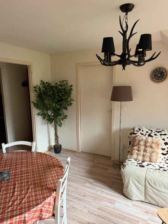 Appartement T2 centre ville Bagnères-de-Luchon - 2