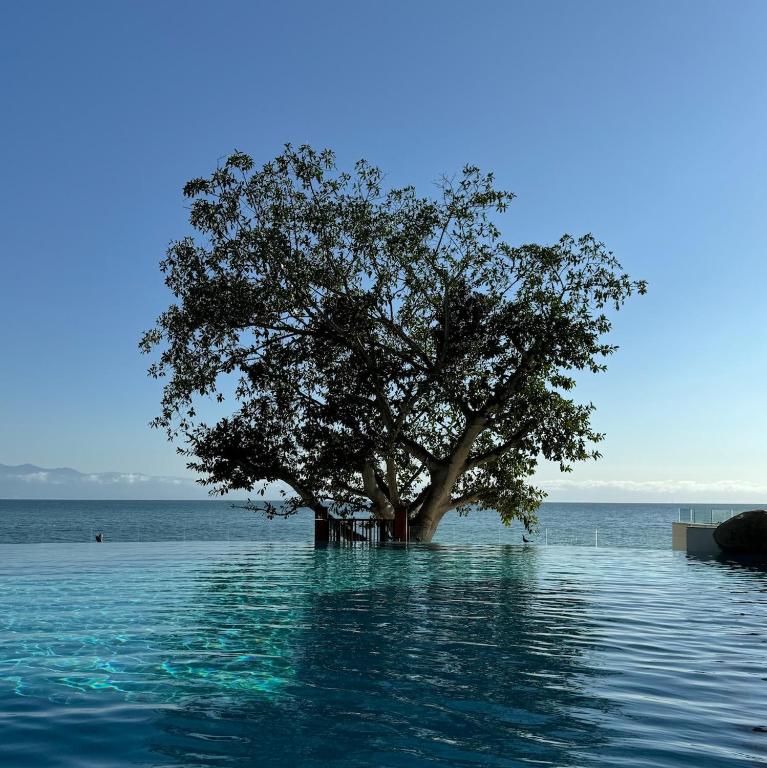 V Bucerias, Ocean Views & Luxury Resort! - 2