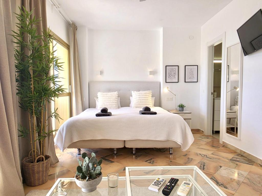 SR Romana Playa 545 studio with wonderful sea view - 3