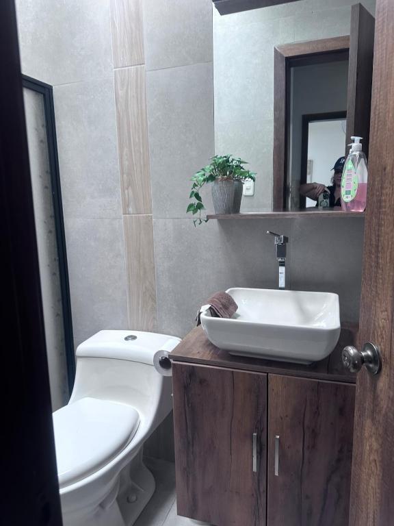 Alma Stchila Suite y departamento, you will feel right at home - 3