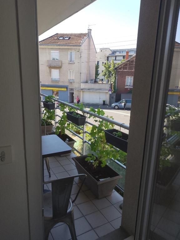 Le Jardins des Iris - 4