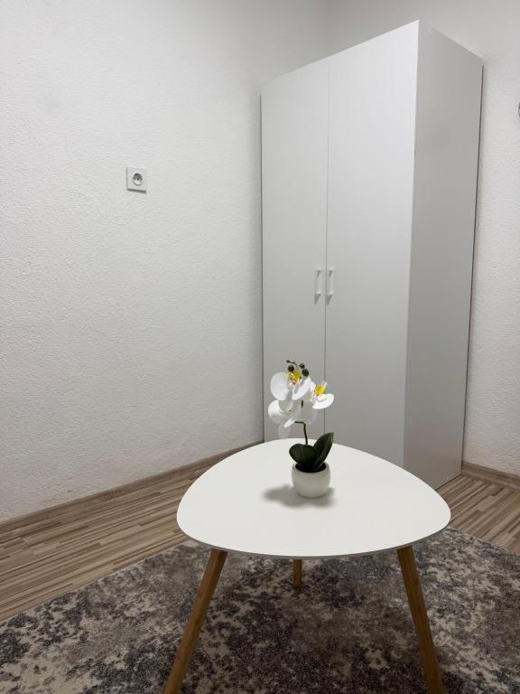 Hidden Gem Apartment Free Parking - Old Town - 5