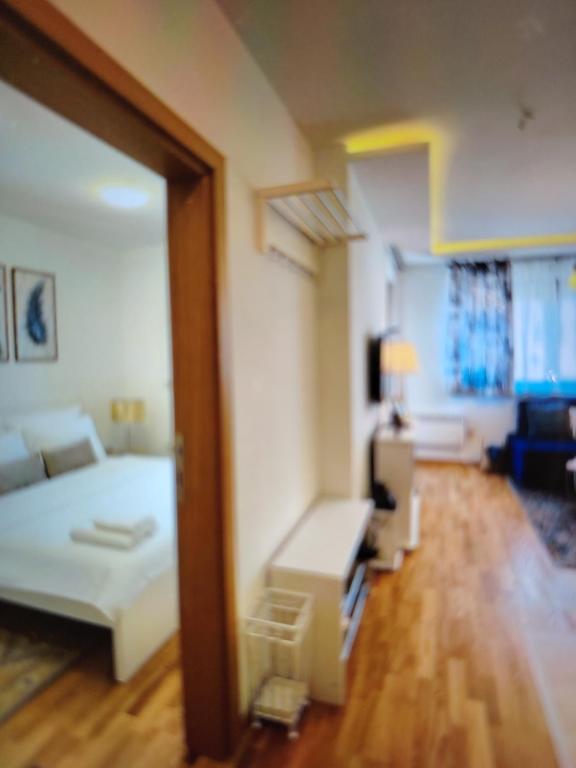 BlueStar Apt & Spa Zlatibor - 3