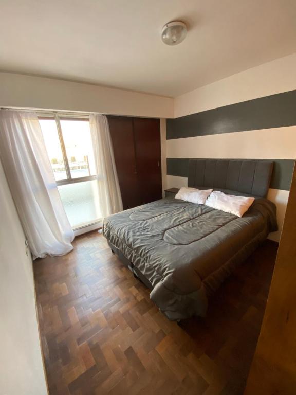 Suite Independencia - 4
