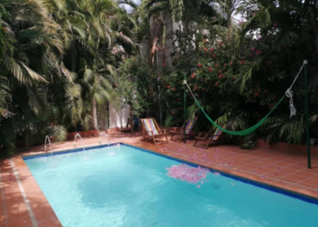 Casagalatea Ecohotel - 5