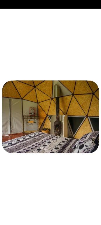 Glamping Bosque del Colibrí - 5