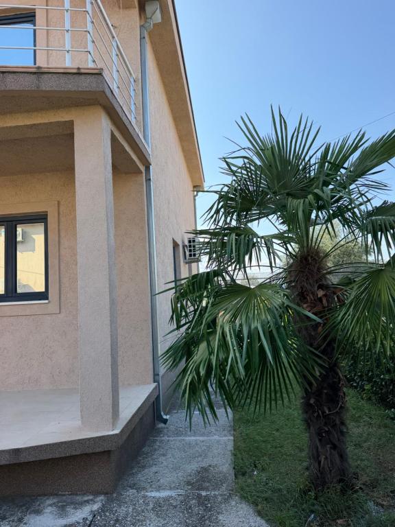 Hana House - 3