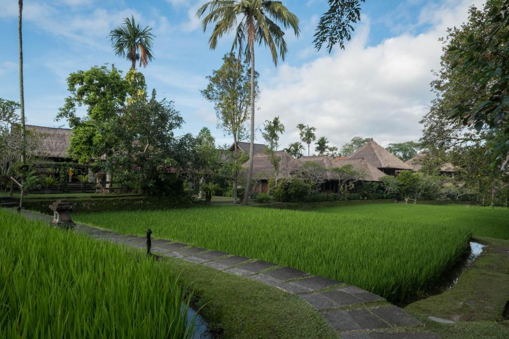 Taman