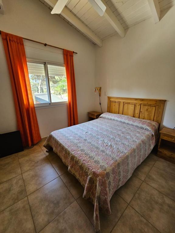 La Terrano - 5