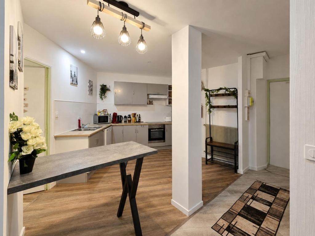 Appart Spacieux au cœur des châteaux - 2