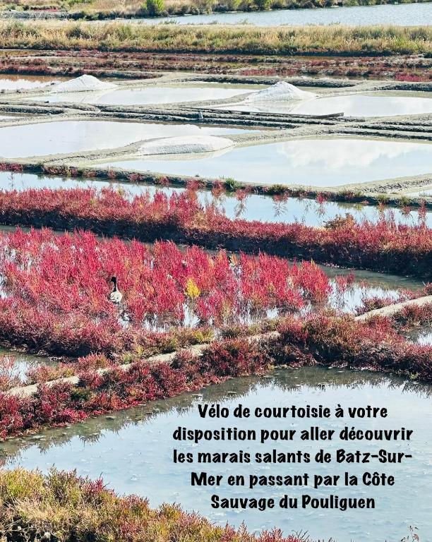 3Très Beau logement, idéalement situé , Plages, Port & Vélo à Disp - 5