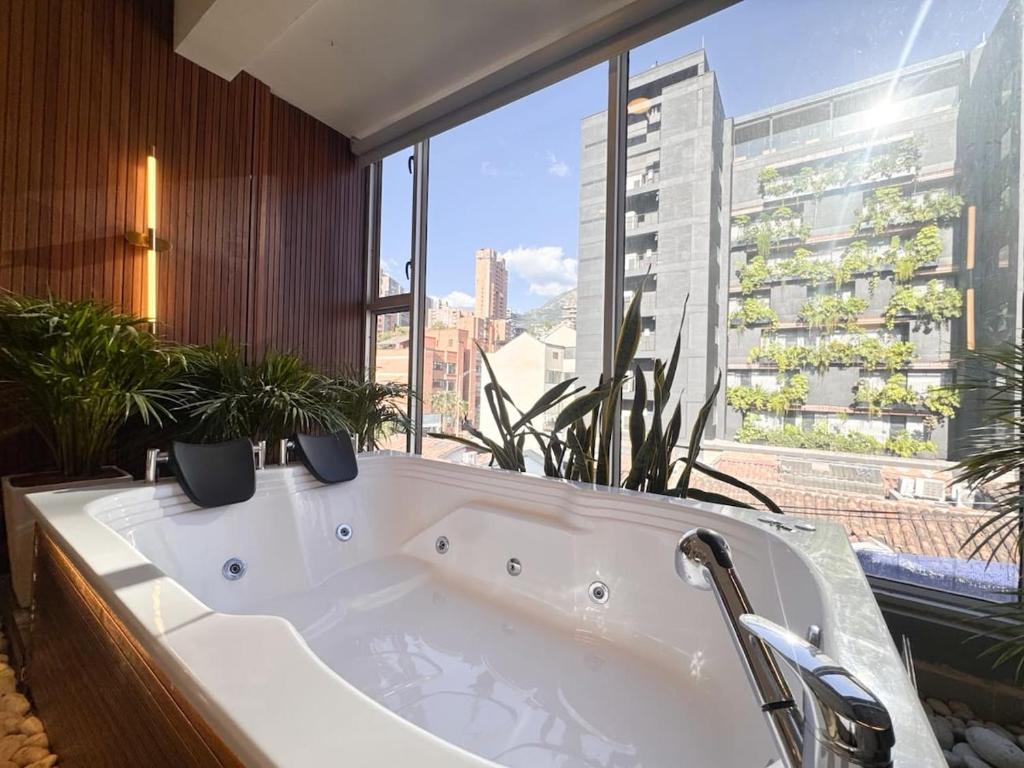 Habitacioncon jacuzzi cerca a provenza - 5