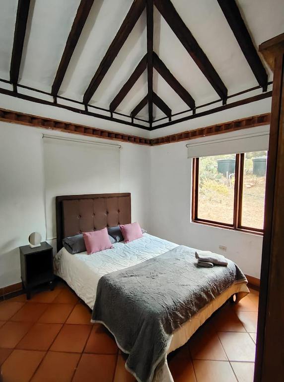 El refugio del bosque sofileño - 1