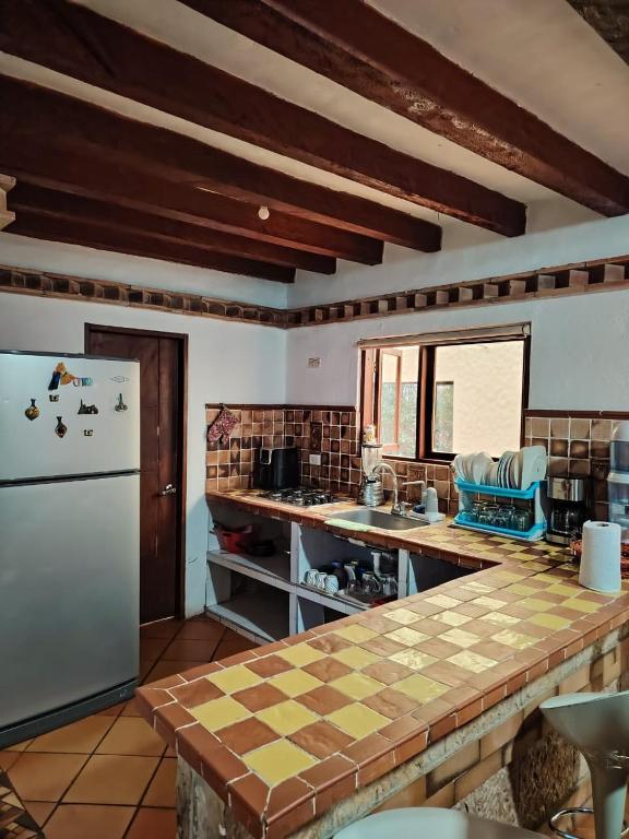 El refugio del bosque sofileño - 2
