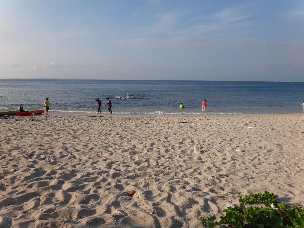 Sports and activities