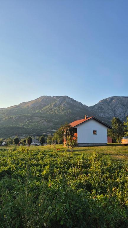Kuća za pravi odmor - 3