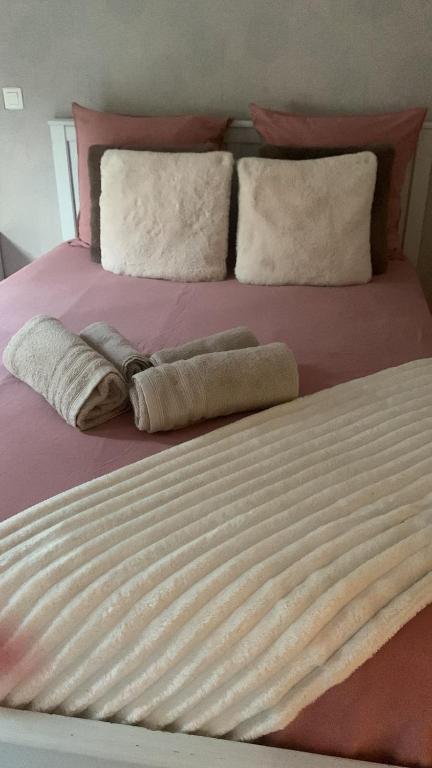 Duplex 5 Voyageurs proche promenade des anglais - 1