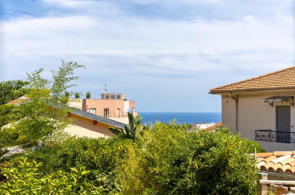 Beautiful large Studio in Monaco - 2