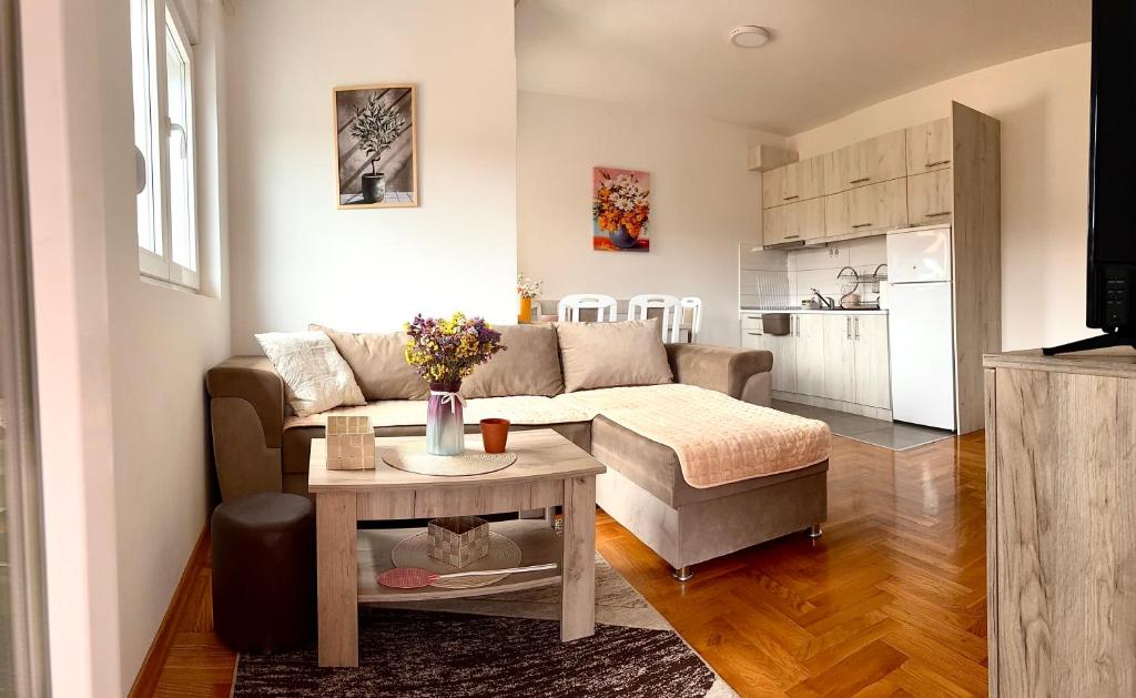 Apartman Vrnjačka Banja centar - 1