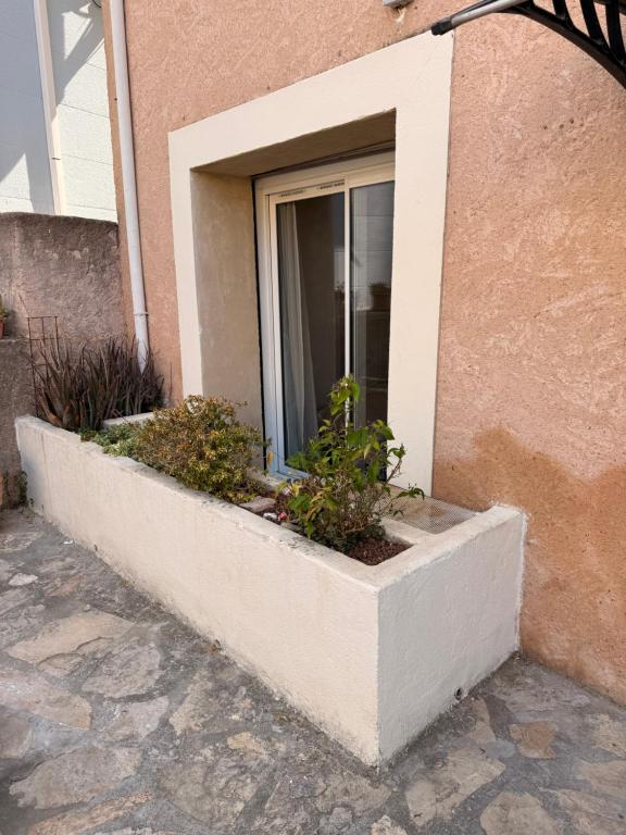 studio Voltaire - 3