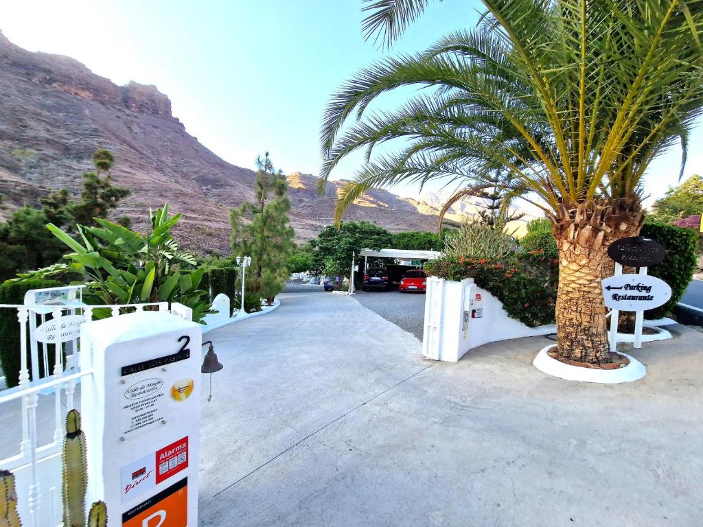 Chalet Mango Oasis - 5