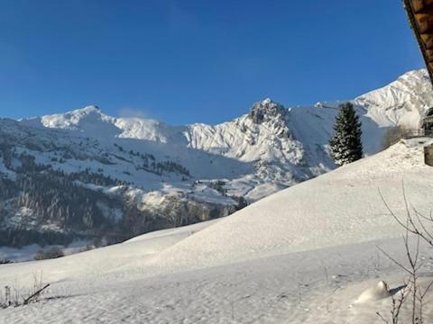 L'Alpage au coeur du domaine du Grand Bornand - 1