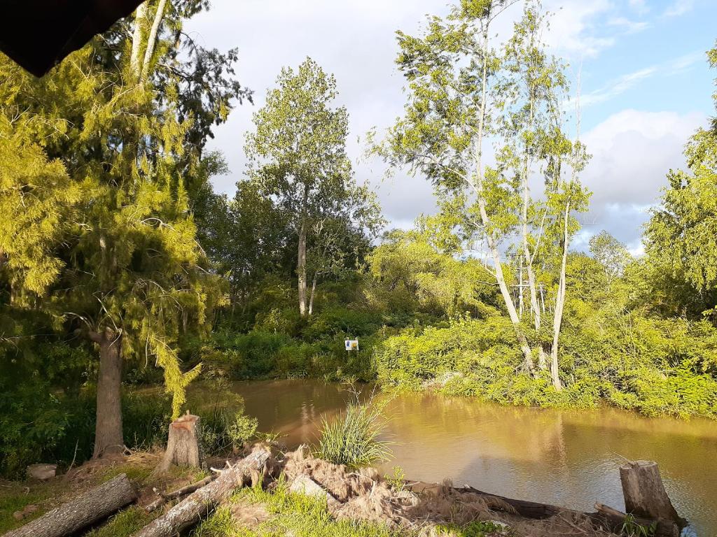 El Descanso del Remero - 5