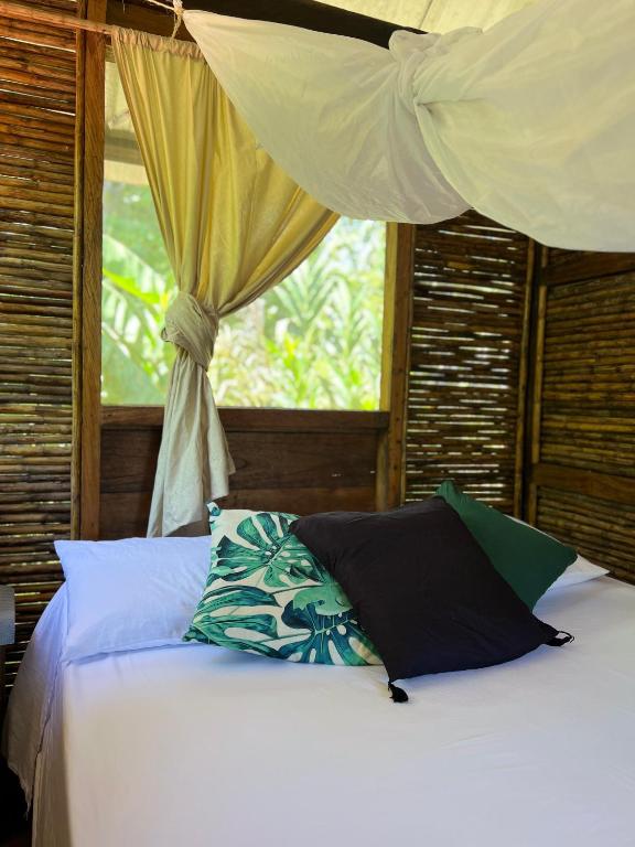 Ancestra black ecolodge - 2