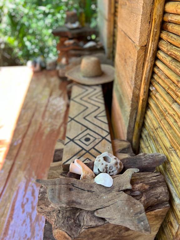 Ancestra black ecolodge - 3