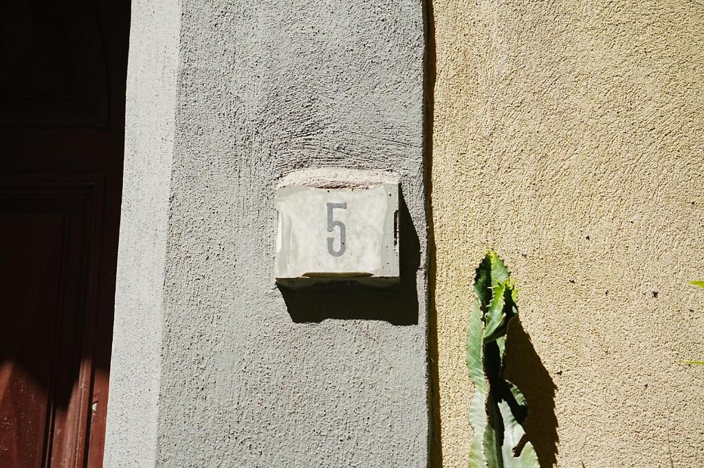 Salotto Plebiscito - 2