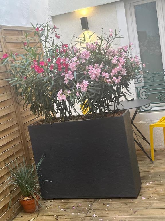 Le Ptit Hibou - Studio Cosy avec accès Terrasse - 4