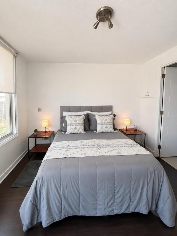 Metro UC and Lastarria Ideal location - 2