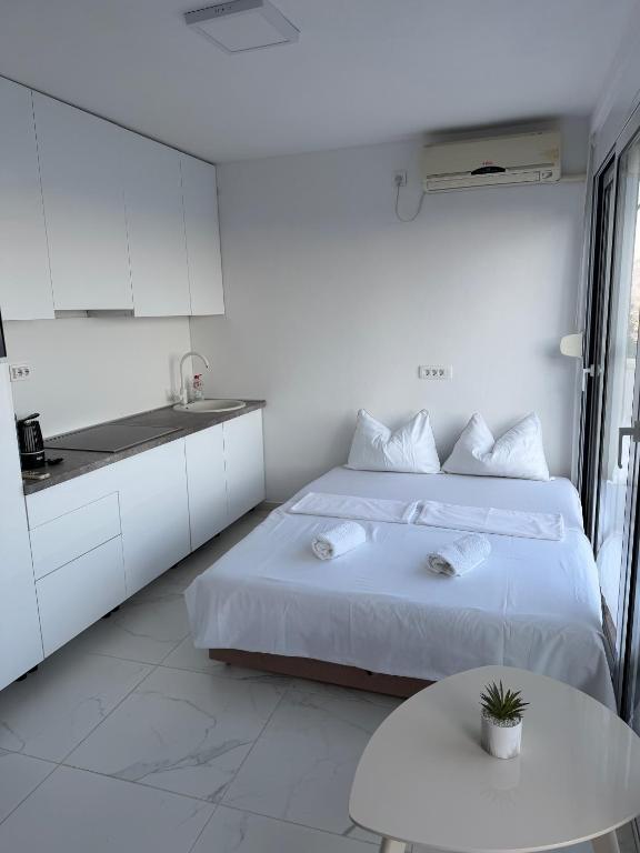 Apartment Panorama MNE - 2