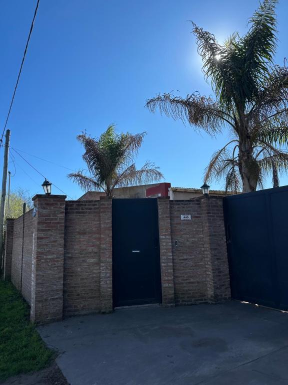Las palmeras - 1