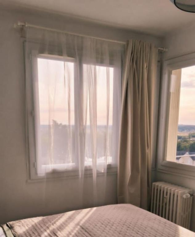 le Bellevue Blois - 3