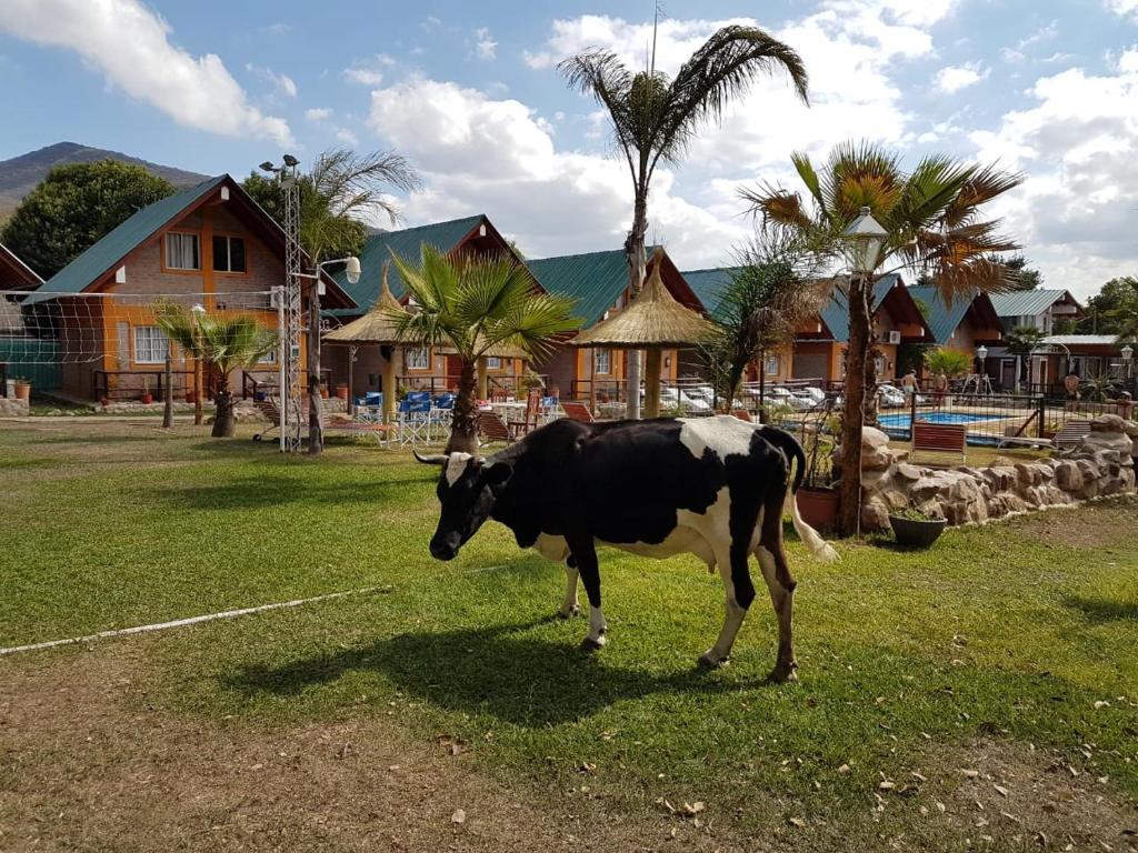 Las Tunas - 1