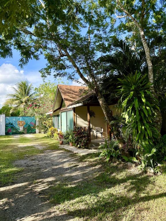 Villa Chak Chel with pool in the Mayan Jungle - 2