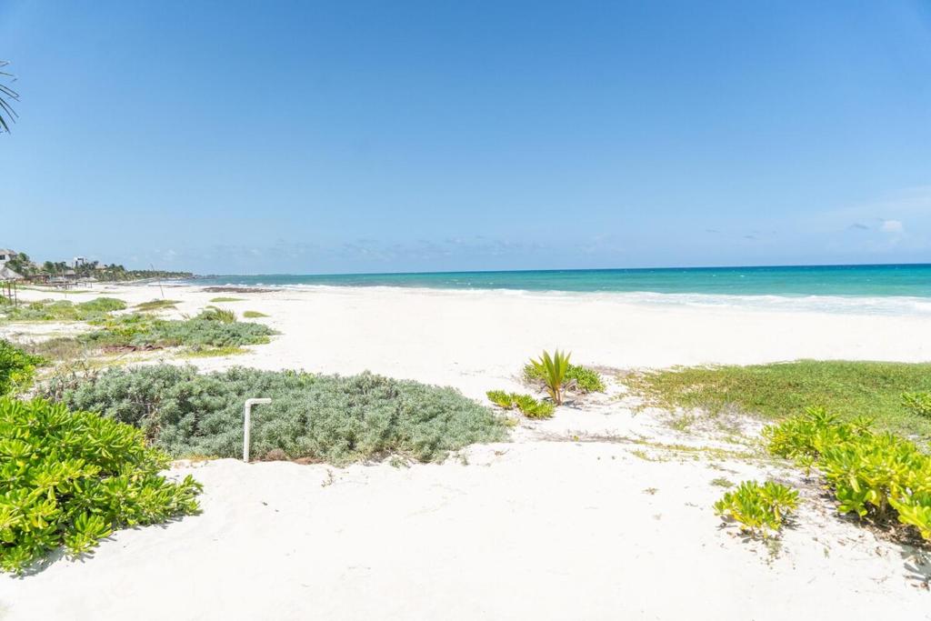 Villa Ixchel-Stunning views, right on the beach! - 5
