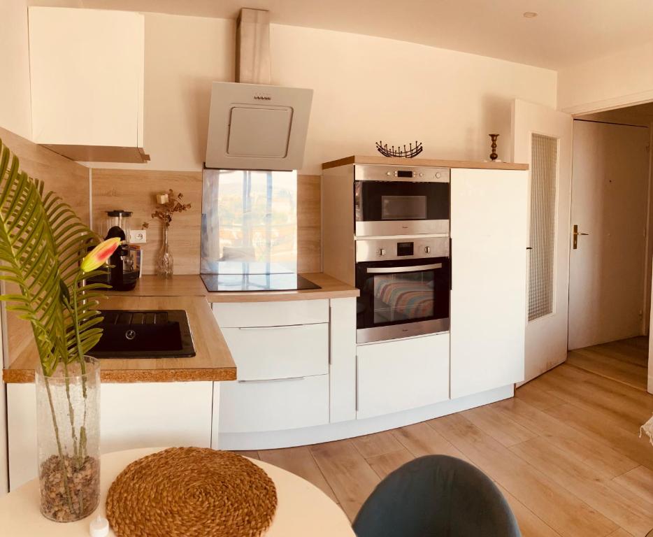 2 Pièces Vur Mer avec Balcon - 3