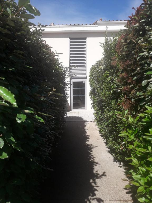 Ariane's Flat in Provence - 2