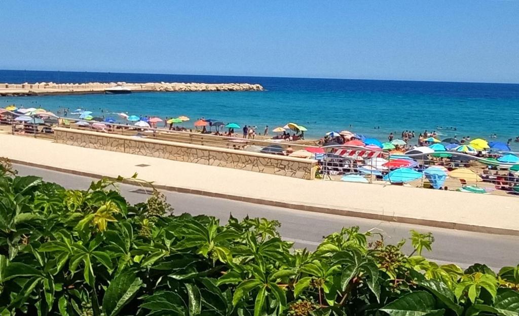 La Casetta del Borgo Marinaro - 1