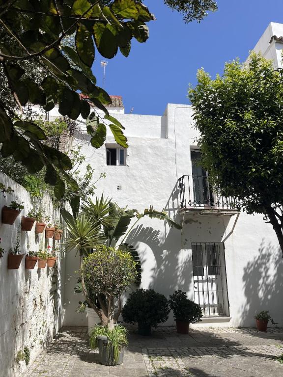 Casco Antiguo 'Apartment Poppies' - 2
