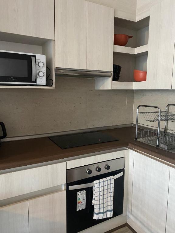 Arriendo departamento por dia - 2