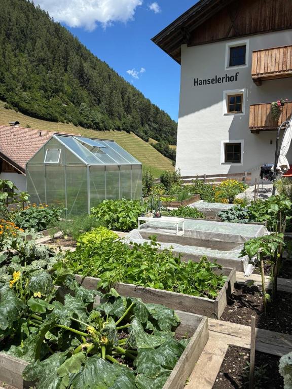 Hanselerhof Jaufental Ratschings mit Sauna - 2