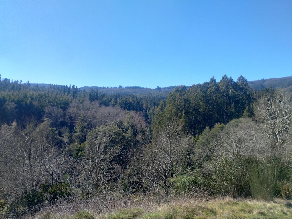 Rincón de la Piedra a 15 minutos de Valdivia - 5