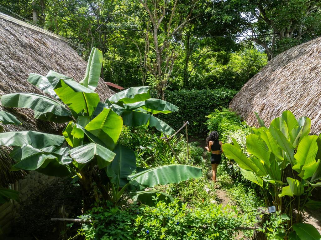 Niuvaluna Holistic - 4