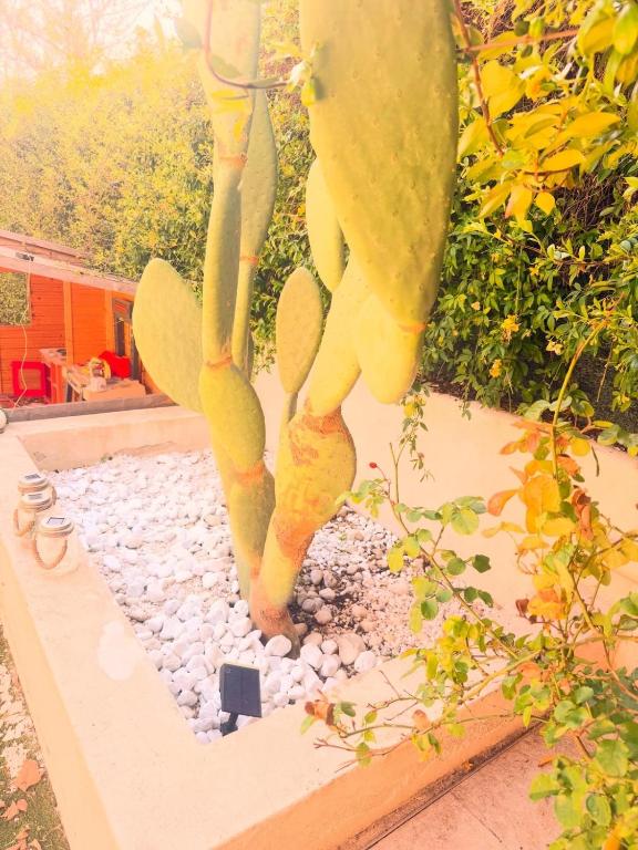 A rare find in Marseille, south-facing house with pool, quiet location - 2